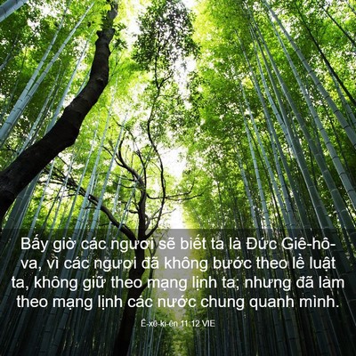 Picture 03 - Ê-xê-ki-ên 11:12 VIE - Bấy giờ các ngươi sẽ biết ta là - Bible Verse Picture