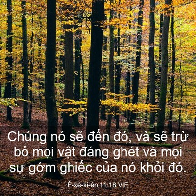 Picture 03 - Ê-xê-ki-ên 11:18 VIE - Chúng nó sẽ đến đó, và sẽ trừ bỏ - Bible Verse Picture