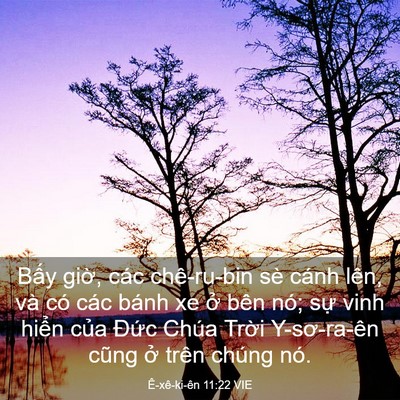 Picture 03 - Ê-xê-ki-ên 11:22 VIE - Bấy giờ, các chê-ru-bin sè cánh lên, và - Bible Verse Picture