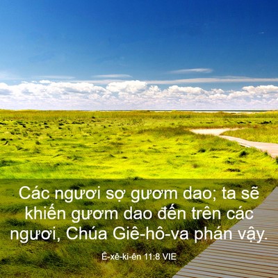 Picture 03 - Ê-xê-ki-ên 11:8 VIE - Các ngươi sợ gươm dao; ta sẽ khiến - Bible Verse Picture