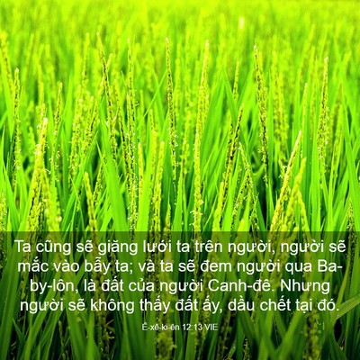 Picture 03 - Ê-xê-ki-ên 12:13 VIE - Ta cũng sẽ giăng lưới ta trên người, - Bible Verse Picture
