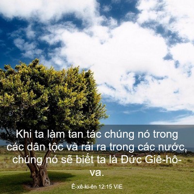 Picture 03 - Ê-xê-ki-ên 12:15 VIE - Khi ta làm tan tác chúng nó trong các dân - Bible Verse Picture