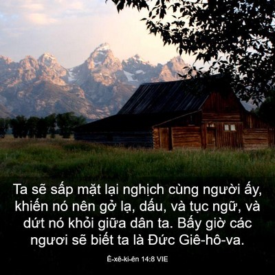 Picture 03 - Ê-xê-ki-ên 14:8 VIE - Ta sẽ sấp mặt lại nghịch cùng người - Bible Verse Picture