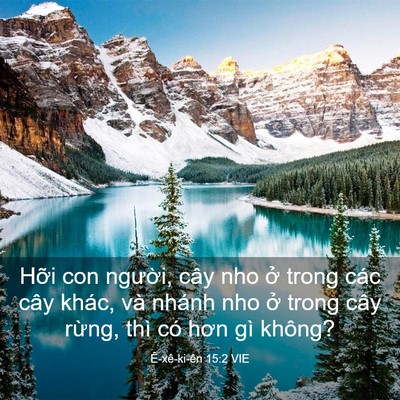 Picture 03 - Ê-xê-ki-ên 15:2 VIE - Hỡi con người, cây nho ở trong các cây - Bible Verse Picture