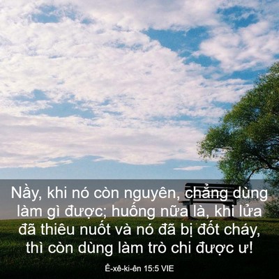 Picture 03 - Ê-xê-ki-ên 15:5 VIE - Nầy, khi nó còn nguyên, chẳng dùng làm - Bible Verse Picture