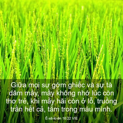 Picture 03 - Ê-xê-ki-ên 16:22 VIE - Giữa mọi sự gớm ghiếc và sự tà dâm - Bible Verse Picture