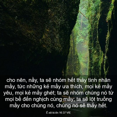 Picture 03 - Ê-xê-ki-ên 16:37 VIE - cho nên, nầy, ta sẽ nhóm hết thảy tình - Bible Verse Picture
