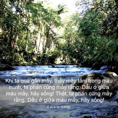 Picture 03 - Ê-xê-ki-ên 16:6 VIE - Khi ta qua gần mầy, thấy mầy tắm trong - Bible Verse Picture