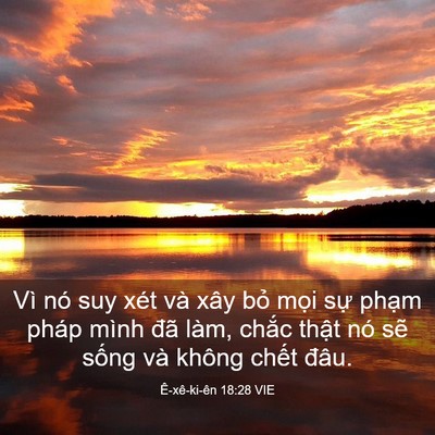 Picture 03 - Ê-xê-ki-ên 18:28 VIE - Vì nó suy xét và xây bỏ mọi sự phạm - Bible Verse Picture
