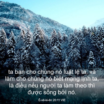 Picture 03 - Ê-xê-ki-ên 20:11 VIE - ta ban cho chúng nó luật lệ ta, và làm - Bible Verse Picture