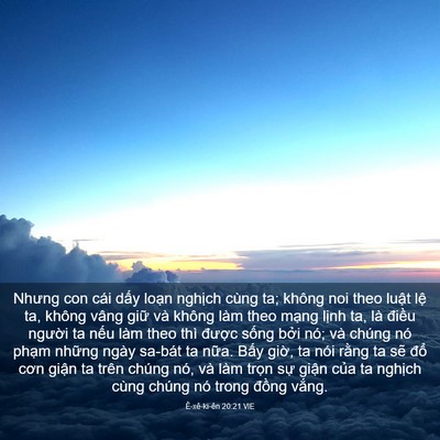 Picture 03 - Ê-xê-ki-ên 20:21 VIE - Nhưng con cái dấy loạn nghịch cùng ta; - Bible Verse Picture