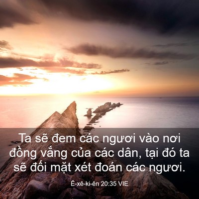 Picture 03 - Ê-xê-ki-ên 20:35 VIE - Ta sẽ đem các ngươi vào nơi đồng - Bible Verse Picture