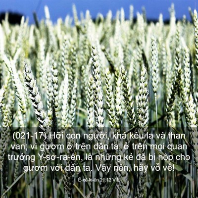 Picture 03 - Ê-xê-ki-ên 21:12 VIE - (021-17) Hỡi con người, khá kêu la và - Bible Verse Picture