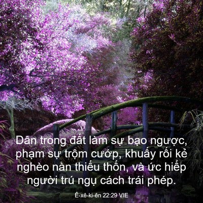 Picture 03 - Ê-xê-ki-ên 22:29 VIE - Dân trong đất làm sự bạo ngược, - Bible Verse Picture
