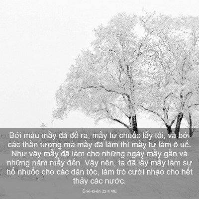 Picture 03 - Ê-xê-ki-ên 22:4 VIE - Bởi máu mầy đã đổ ra, mầy tự - Bible Verse Picture