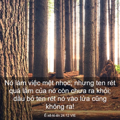 Picture 03 - Ê-xê-ki-ên 24:12 VIE - Nó làm việc mệt nhọc; nhưng ten rét - Bible Verse Picture