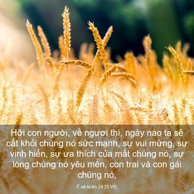 Picture 03 - Ê-xê-ki-ên 24:25 VIE - Hỡi con người, về ngươi thì, ngày nào - Bible Verse Picture