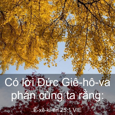 Picture 03 - Ê-xê-ki-ên 25:1 VIE - Có lời Đức Giê-hô-va phán cùng ta - Bible Verse Picture