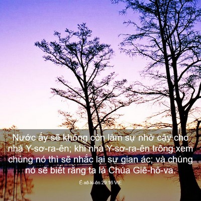 Picture 03 - Ê-xê-ki-ên 29:16 VIE - Nước ấy sẽ không còn làm sự nhờ - Bible Verse Picture