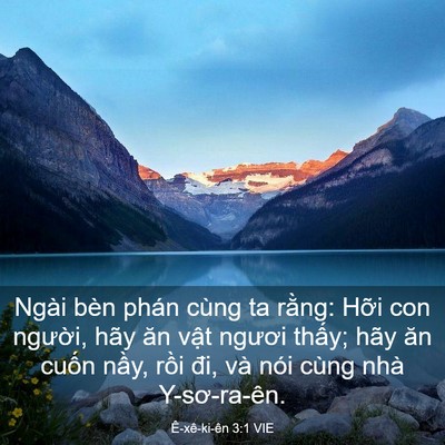 Picture 03 - Ê-xê-ki-ên 3:1 VIE - Ngài bèn phán cùng ta rằng: Hỡi con - Bible Verse Picture