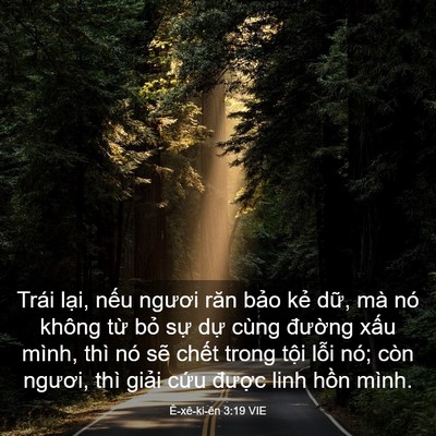 Picture 03 - Ê-xê-ki-ên 3:19 VIE - Trái lại, nếu ngươi răn bảo kẻ dữ, - Bible Verse Picture