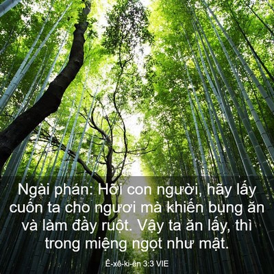 Picture 03 - Ê-xê-ki-ên 3:3 VIE - Ngài phán: Hỡi con người, hãy lấy - Bible Verse Picture