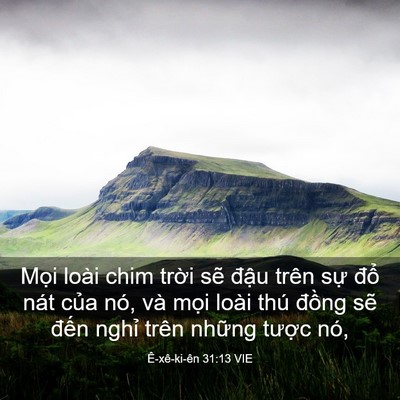 Picture 03 - Ê-xê-ki-ên 31:13 VIE - Mọi loài chim trời sẽ đậu trên sự - Bible Verse Picture