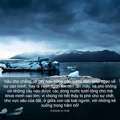 Picture 03 - Ê-xê-ki-ên 31:14 VIE - hầu cho chẳng có cây nào trồng gần - Bible Verse Picture