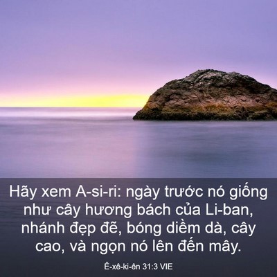 Picture 03 - Ê-xê-ki-ên 31:3 VIE - Hãy xem A-si-ri: ngày trước nó giống như - Bible Verse Picture