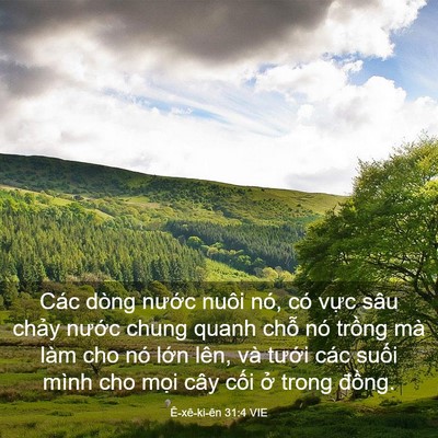 Picture 03 - Ê-xê-ki-ên 31:4 VIE - Các dòng nước nuôi nó, có vực sâu - Bible Verse Picture