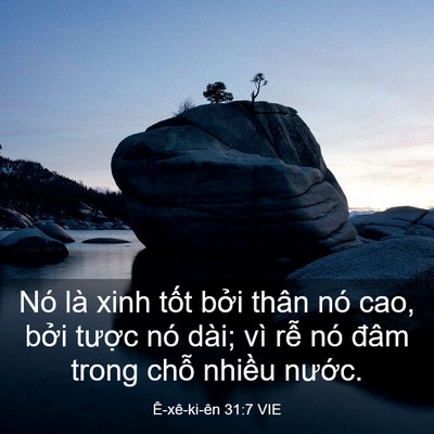 Picture 03 - Ê-xê-ki-ên 31:7 VIE - Nó là xinh tốt bởi thân nó cao, bởi - Bible Verse Picture