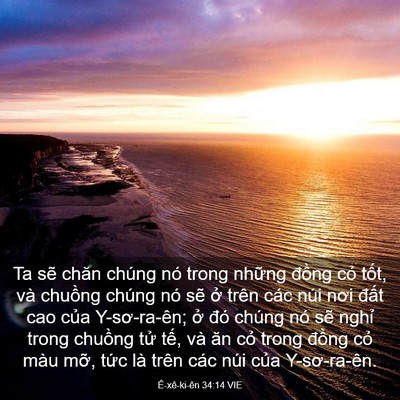 Picture 03 - Ê-xê-ki-ên 34:14 VIE - Ta sẽ chăn chúng nó trong những đồng - Bible Verse Picture