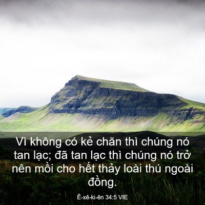Picture 03 - Ê-xê-ki-ên 34:5 VIE - Vì không có kẻ chăn thì chúng nó tan - Bible Verse Picture
