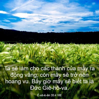 Picture 03 - Ê-xê-ki-ên 35:4 VIE - Ta sẽ làm cho các thành của mầy ra - Bible Verse Picture