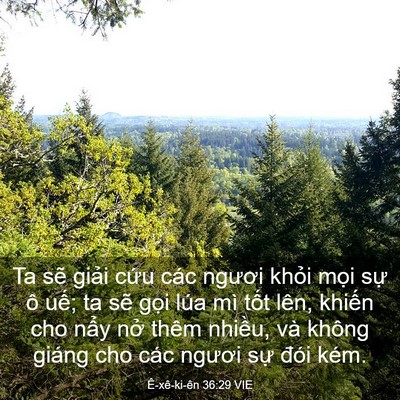 Picture 03 - Ê-xê-ki-ên 36:29 VIE - Ta sẽ giải cứu các ngươi khỏi mọi - Bible Verse Picture