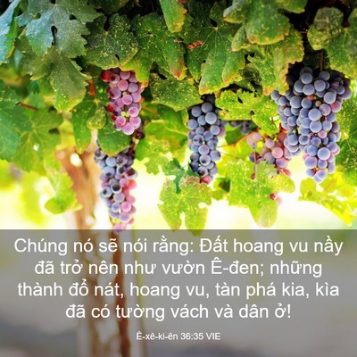 Picture 03 - Ê-xê-ki-ên 36:35 VIE - Chúng nó sẽ nói rằng: Đất hoang vu - Bible Verse Picture