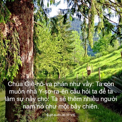 Picture 03 - Ê-xê-ki-ên 36:37 VIE - Chúa Giê-hô-va phán như vầy: Ta còn - Bible Verse Picture
