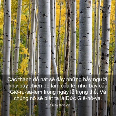 Picture 03 - Ê-xê-ki-ên 36:38 VIE - Các thành đổ nát sẽ đầy những bầy - Bible Verse Picture