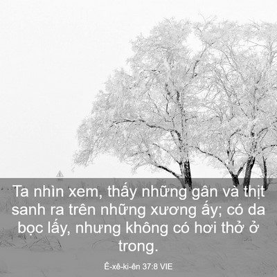 Picture 03 - Ê-xê-ki-ên 37:8 VIE - Ta nhìn xem, thấy những gân và thịt sanh - Bible Verse Picture