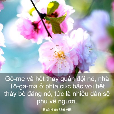 Picture 03 - Ê-xê-ki-ên 38:6 VIE - Gô-me và hết thảy quân đội nó, nhà - Bible Verse Picture