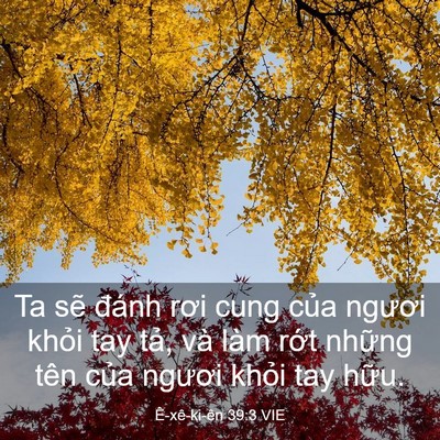 Picture 03 - Ê-xê-ki-ên 39:3 VIE - Ta sẽ đánh rơi cung của ngươi khỏi tay - Bible Verse Picture