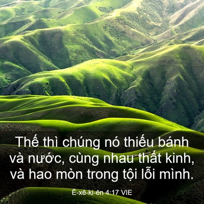 Picture 03 - Ê-xê-ki-ên 4:17 VIE - Thế thì chúng nó thiếu bánh và nước, - Bible Verse Picture