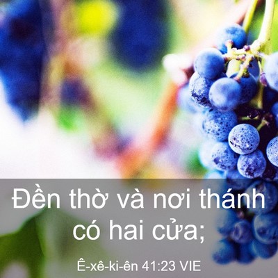 Picture 03 - Ê-xê-ki-ên 41:23 VIE - Đền thờ và nơi thánh có hai - Bible Verse Picture