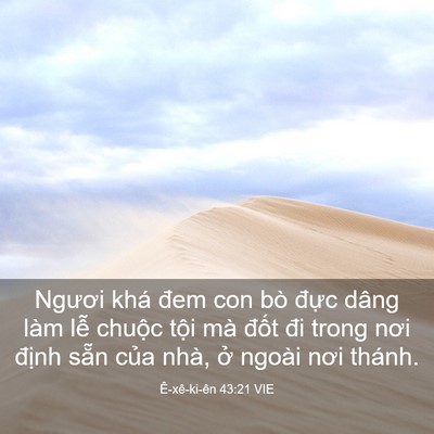 Picture 03 - Ê-xê-ki-ên 43:21 VIE - Ngươi khá đem con bò đực dâng làm lễ - Bible Verse Picture