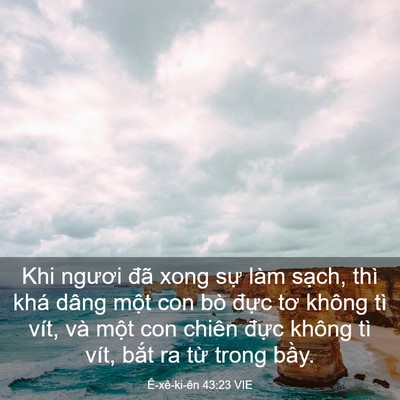 Picture 03 - Ê-xê-ki-ên 43:23 VIE - Khi ngươi đã xong sự làm sạch, thì khá - Bible Verse Picture