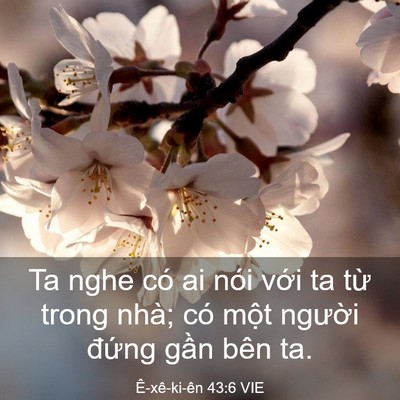 Picture 03 - Ê-xê-ki-ên 43:6 VIE - Ta nghe có ai nói với ta từ trong nhà; có - Bible Verse Picture