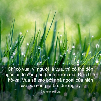 Picture 03 - Ê-xê-ki-ên 44:3 VIE - Chỉ có vua, vì người là vua, thì có - Bible Verse Picture