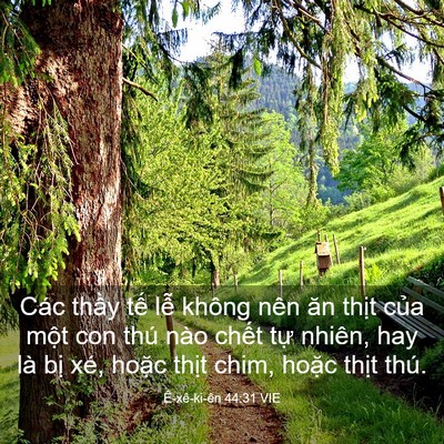 Picture 03 - Ê-xê-ki-ên 44:31 VIE - Các thầy tế lễ không nên ăn thịt - Bible Verse Picture