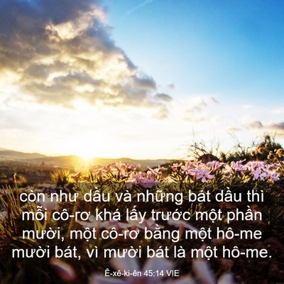 Picture 03 - Ê-xê-ki-ên 45:14 VIE - còn như dầu và những bát dầu thì mỗi - Bible Verse Picture
