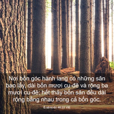 Picture 03 - Ê-xê-ki-ên 46:22 VIE - Nơi bốn góc hành lang có những sân bao - Bible Verse Picture